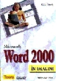 Microsoft Word 2000 in imagini