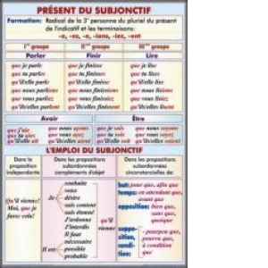 Present du sobjonctif. L'emploi du subjonctif/Formes du conditionnel present. (duo)