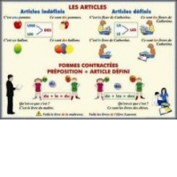 Les articles Formes contractees. Preposition + Article defini /Adjectifs et pronoms demonstratifs (duo)