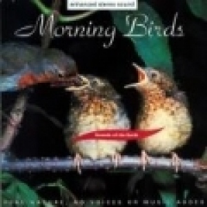Morning Birds