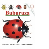 Buburuza (Primele mele descoperiri)