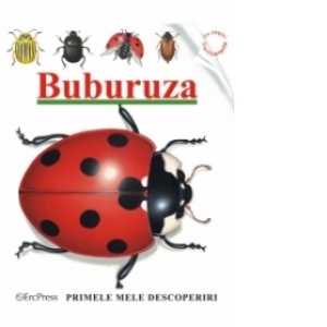 Buburuza (Primele mele descoperiri)