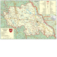 Judetul IASI. Plansa cu sipci de plastic