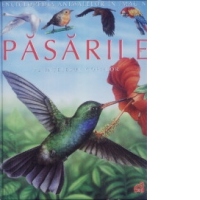 Pasarile pe intelesul copiilor