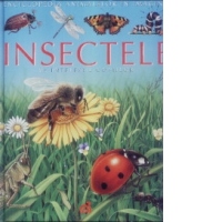 Insectele pe intelesul copiilor