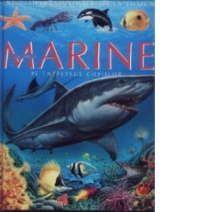 Vezi detalii pentru Animale marine pe intelesul copiilor