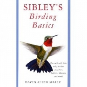 Sibley s Birding Basics