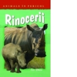 Rinocerii