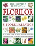 Enciclopedia ilustrata a florilor si florei salbatice