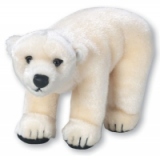 Animale polare - Urs polar