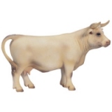 Animale de la tara - Vaca Charolais