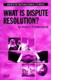 What is Dispute Resolution?