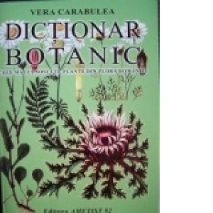 Dictionar botanic - Cele mai cunoscute plante din flora Romaniei