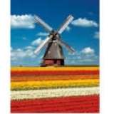 Puzzle 1500 High Quality - Mulino - Holland