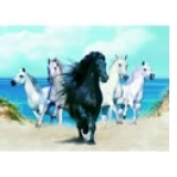 PUZZLE 2000 HIGH QUALITY COLLECTION - THE DREAM HORSES