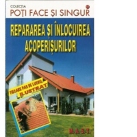 Repararea si inlocuirea acoperisurilor