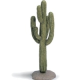Cactus urias