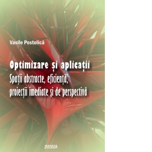 Optimizare si aplicatii. Spatii abstracte, eficienta, proiectii imediate si de perspectiva