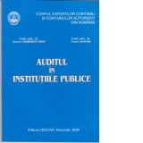 Auditul in institutiile publice