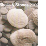 Shells and Stones 2009