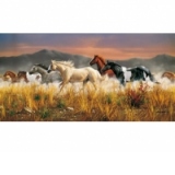 PUZZLE 13200 PIESE - CAI IN GALOP - 38006