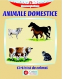 Animale Domestice-Carticica de colorat