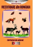 Vietuitoare din Romania-Carticica de colorat