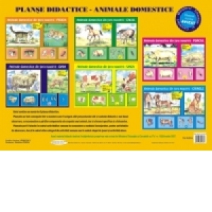 Planse didactice - Animale domestice