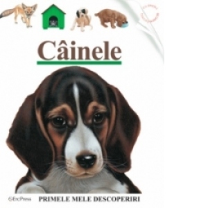 Cainele