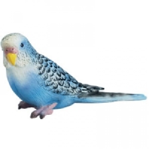 Animale de casa - Perus albastru