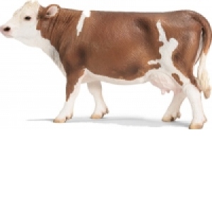 Animale de la tara - Vaca baltata