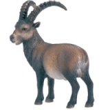 Animale de padure - Capra Ibex