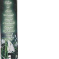 Semn de carte Mama este o floare, un anotimp proaspat,o mana calda si priceputa, raza de soare, cantec si zambet (VERDE)
