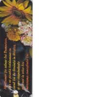 Semn de carte Multumiri fie aduse...