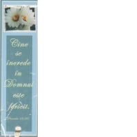Semn de carte Cine se increde in Domnul este fericit