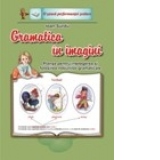 Gramatica in imagini-set 20 planse, A4