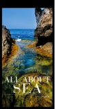 All About Sea - Franti&#353;ek Vais [2010]
