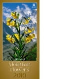Mountain Flowers - Ji&#345;&#237; Havel [2010]