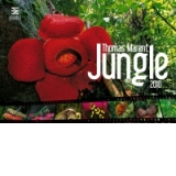Jungle - Thomas Marent [2010]