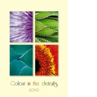 Colour in the Details [2010]