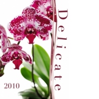 Delicate [2010]