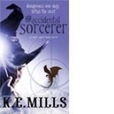 The accidental sorcerer - ROGUE AGENT (book one)