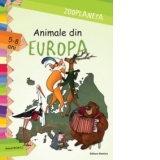 Zooplaneta-Animale din Europa(5-8 ani)