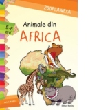 Zooplaneta-Animale din Africa(5-8 ani)