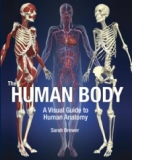 THE HUMAN BODY: A VISUAL GUIDE TO HUMAN ANATOMY