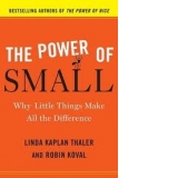 THE POWER OF SMALL: WHY LITTLE THINGS MAKE ALL THE DIFFERENCE