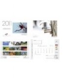 Calendar de perete 2011