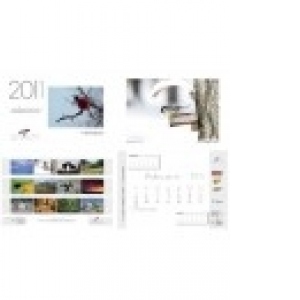 Calendar de perete 2011