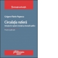 Circulatia rutiera. Infractiuni la regimul circulatiei pe drumurile publice. Practica judiciara