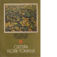 Cultura florii-soarelui